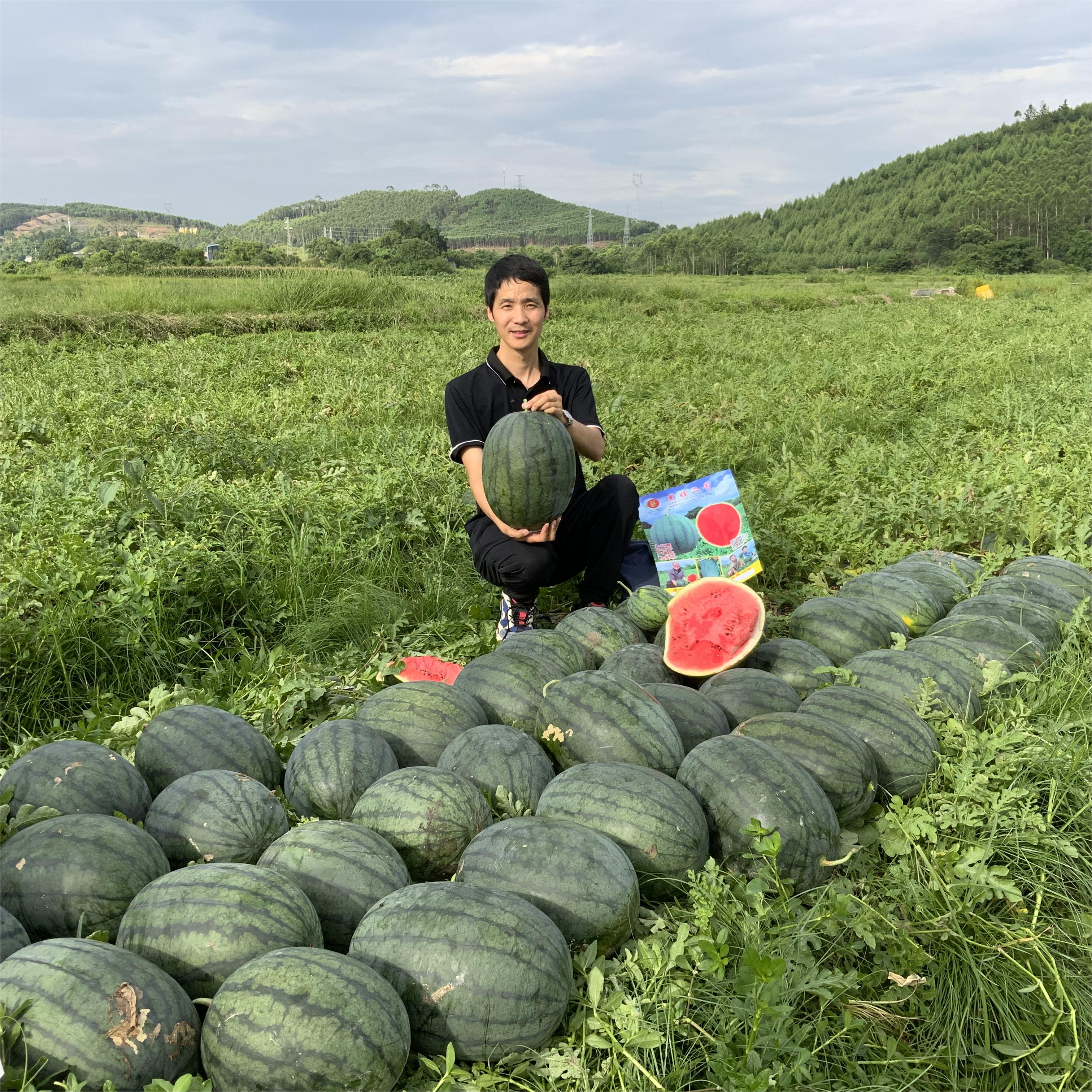 豫藝黑娃二號